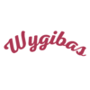 Wygibas 4,2x3- UŻYWANY - Thumbnail Image 1